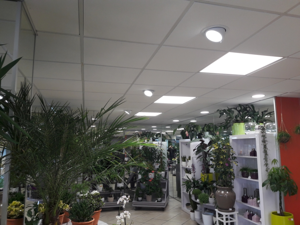 AKELEC ELECTRICIEN BREAL SOUS MONFORT Locaux Pro